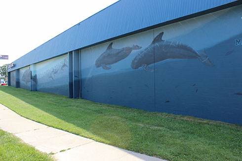 Wyland Mural Restored at CapitalTristate Baltimore