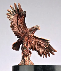 Border States Electric Receives Pro Patria Award