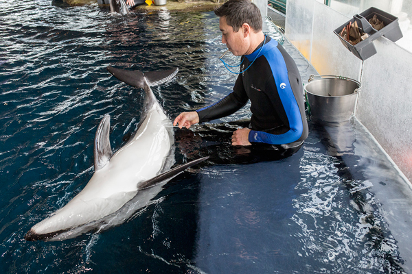 Grainger Foundation Commits $2 Million to Shedd Aquarium