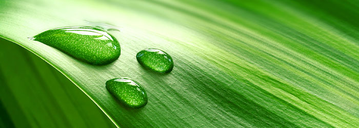 Marketing Momentum: Color Me Happy, Loyal or Trustworthy