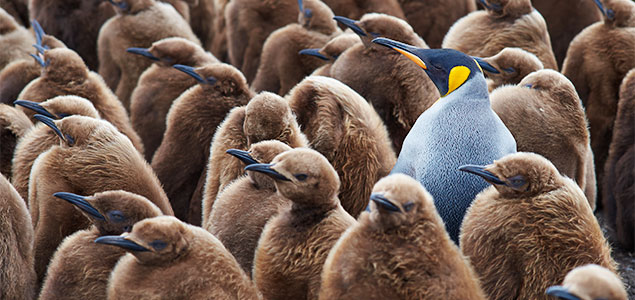 Ready to Stand Out in the Marketplace in 2017?