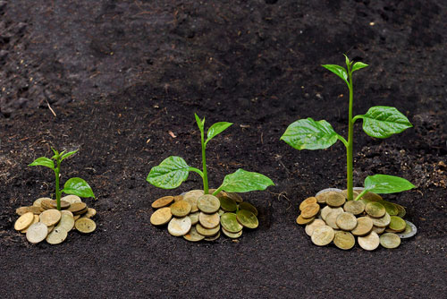 Fed Survey Finds Moderate Economic Growth in Spring
