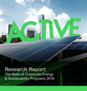 Schneider 2018 Energy Survey