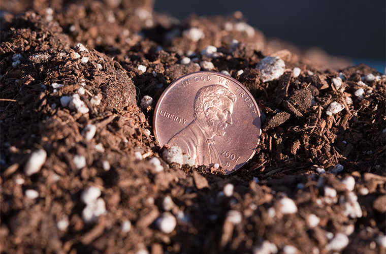Planting the Seed for Better Copper Prices?