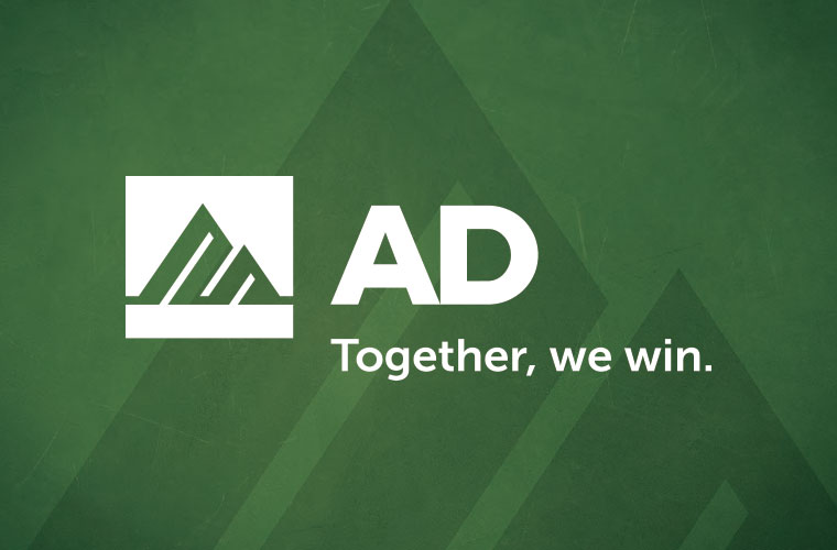 AD Names 2026 LLC Board of Directors
