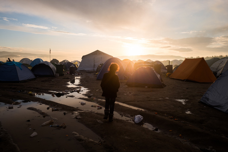 Siemens and Volkswagen Donate Aid to Refugees