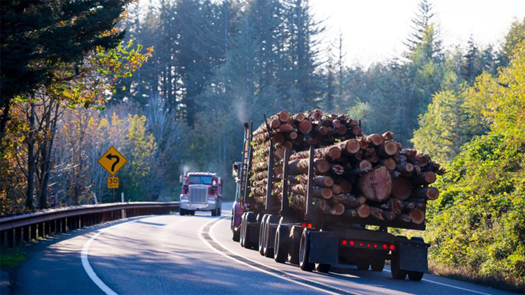 Commerce Department Cuts Lumber Tariffs from 20% to 9%