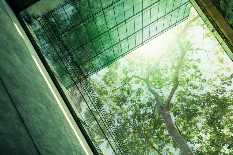 Schneider Electric Begins Year With Sustainability Milestones