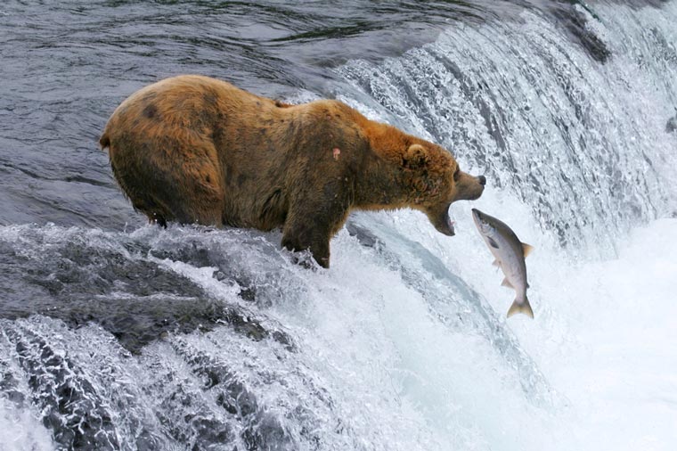 LEDVANCE Announces “The Big Catch” Promotion for US Distributors