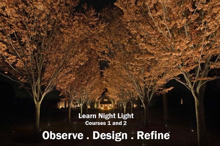 IES Launches Second Course of ‘Learn Night Light’