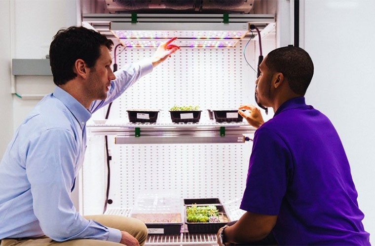 NASA Taps Osram to Support its Food Production Research