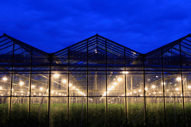 Global Grow Lights Market Forecasts, 2022-2027