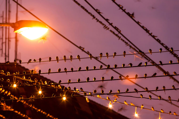 DLC Webinar Focuses on Responsible Nighttime Lighting