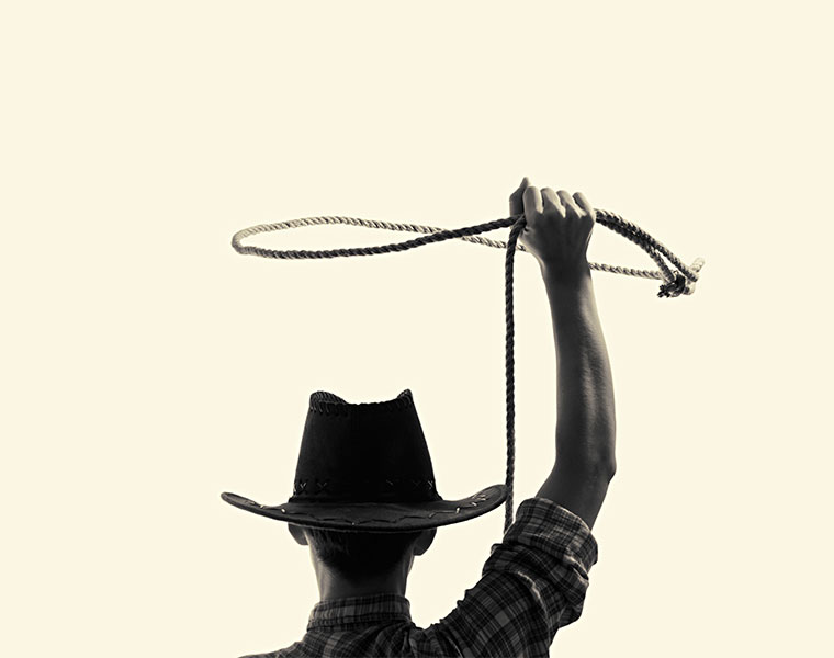 Welcome To The Wild, Wild West!