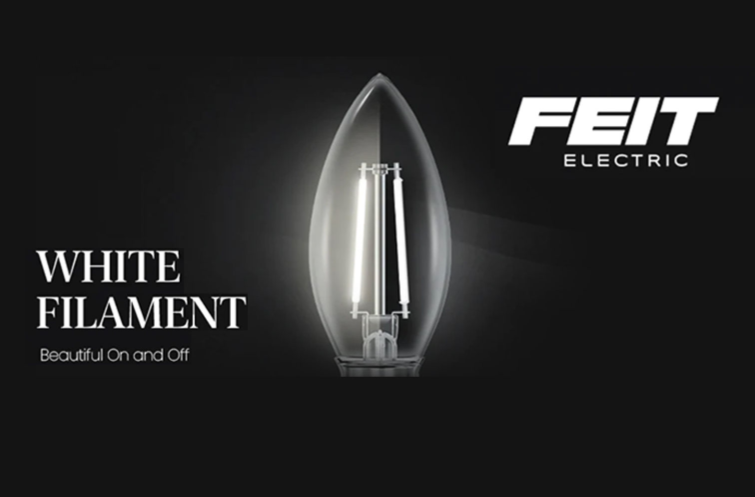 Feit Electric Files Second Patent Enforcement Action Against GE