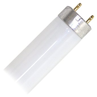 NAED, Manufacturers Object To Potential Fluorescent Tube Lamp Ruling