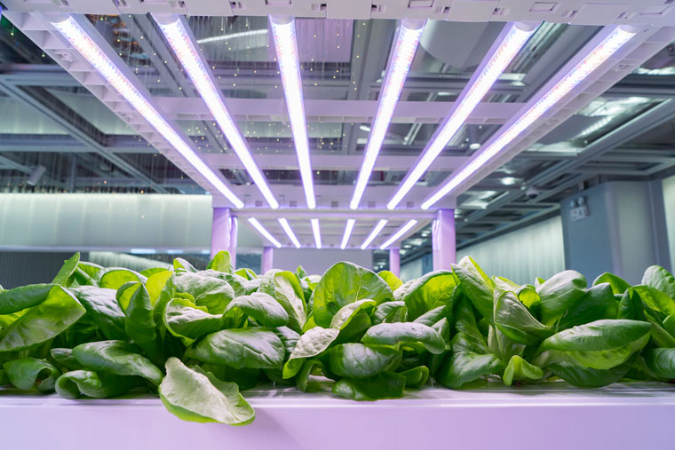 Signify Inks Philips LED Lighting Partnership Agreement