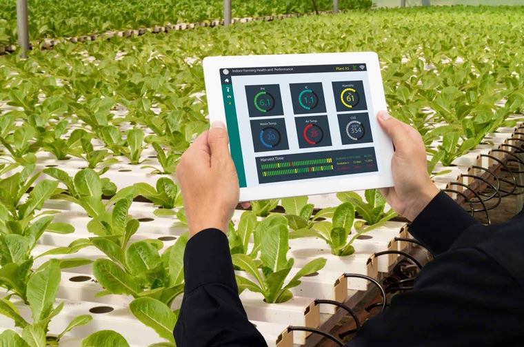 DLC Forms Horticultural Lighting Controls Technical Working Group