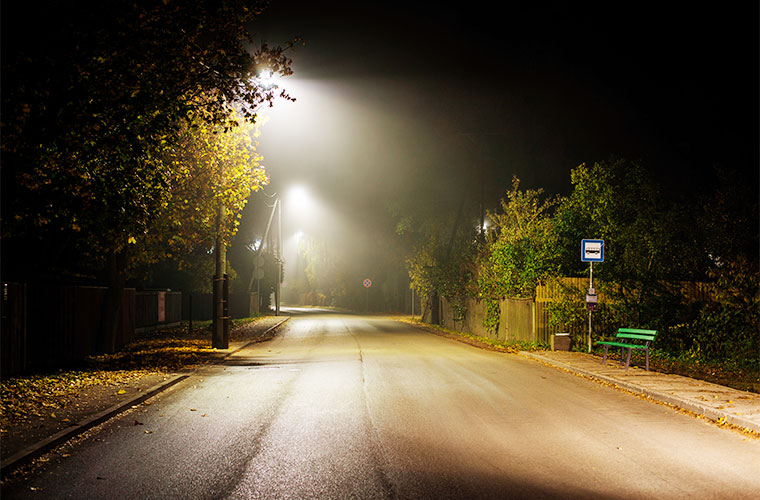Study: Light Pollution Disrupts Seasonal Rhythms of Plants