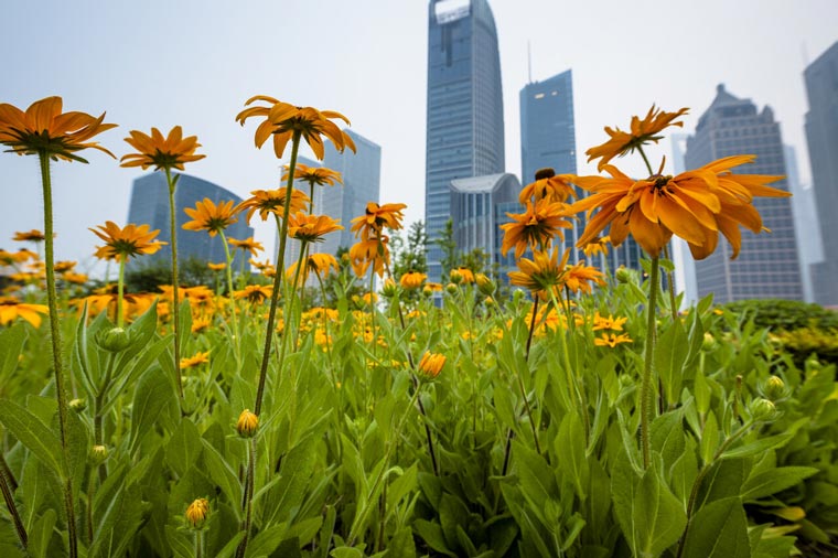 LEDVANCE Publishes First Global Sustainability Report