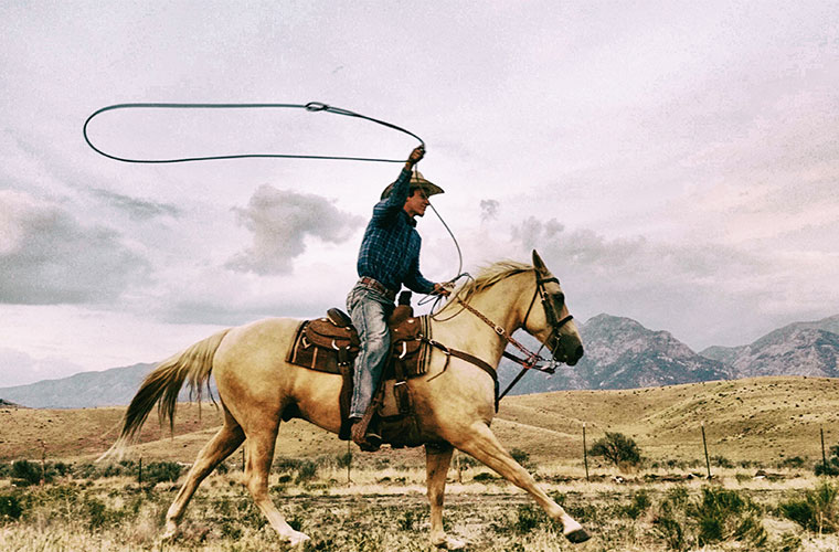 Welcome to the Wild West
