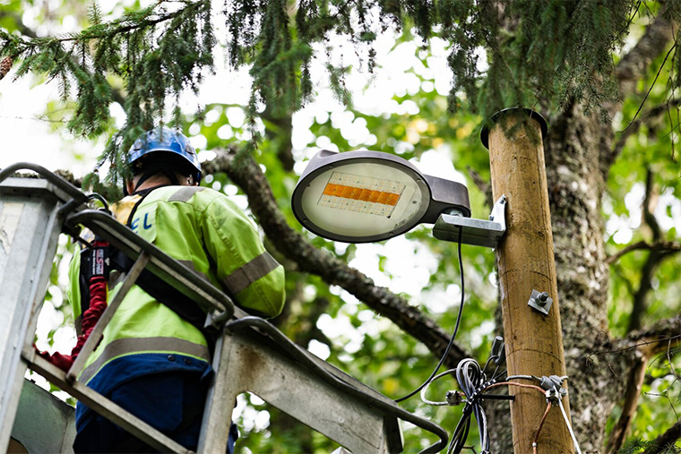 Finnish City Unveils Pollinator-Safe Streetlights