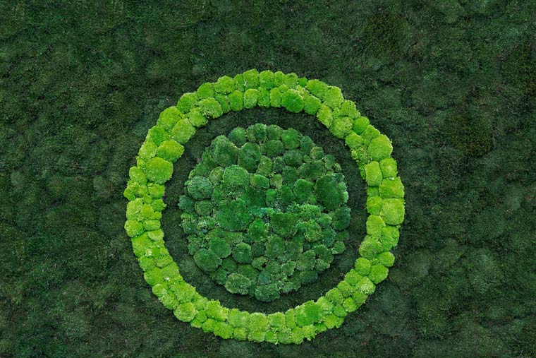 Siemens Achieves Strong Progress on Sustainability Targets