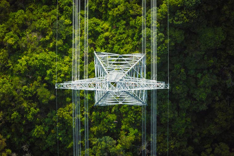 Siemens: Industrial Leaders Ready to Invest in Electrified Operations