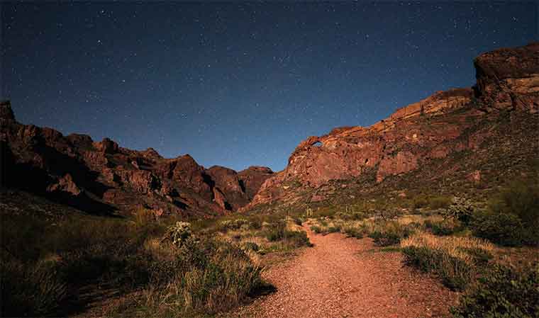 Organ Pipe Cactus National Monument Designated an International Dark Sky Park